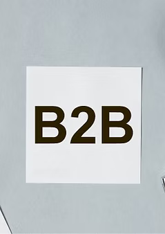 B2B İş Görüşmeleri
